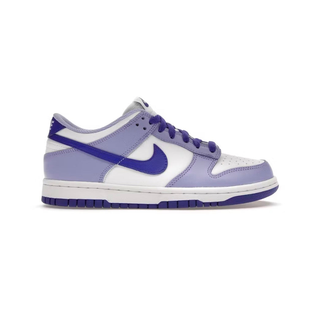 Nike Dunk Low Blueberry