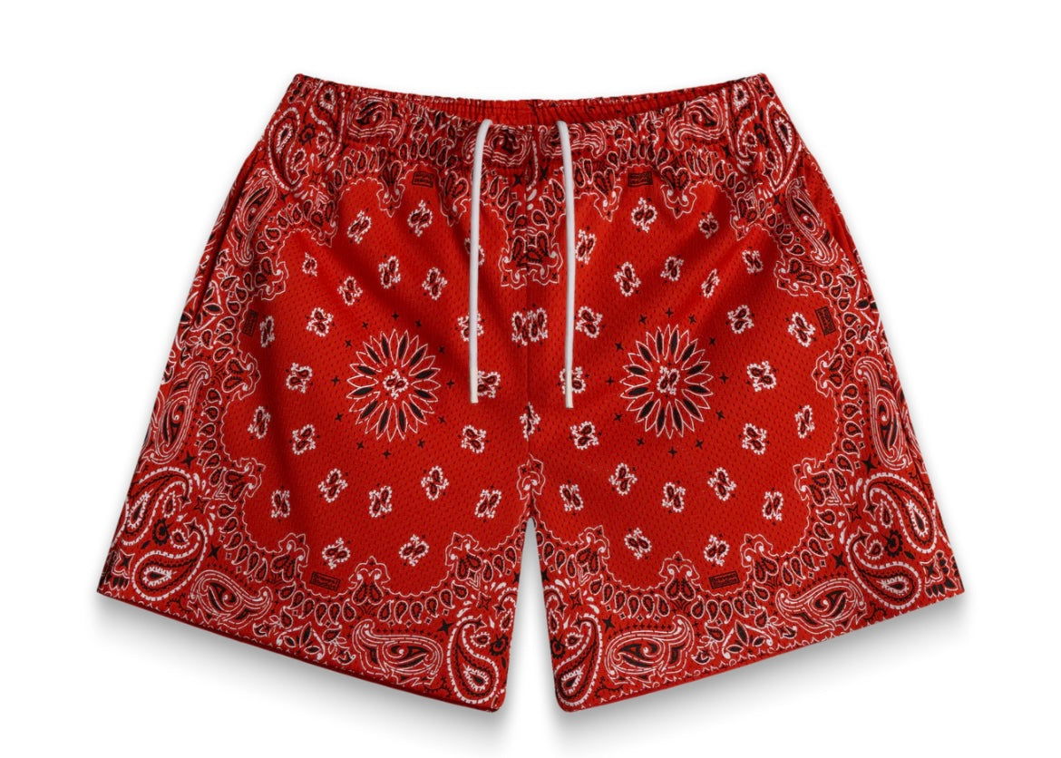 Bravest Screen Printed Paisley Two-Tone Red Shorts