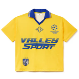 Vale Renault Polo